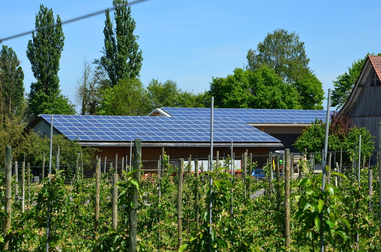 photovoltaic, solar energy, renewable